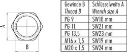 Hexagonal nut for fixing thread