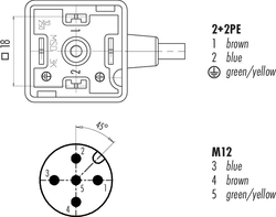 M18, Seri 210 İçin A Size Valf Konnektörü 3+PE