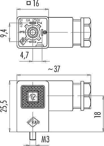 Size C (industry) female connector (panel mount), Contacts: 3+PE, 4.0 - 6.0 mm, not shielded, screw clamp, IP40 without seal - 2