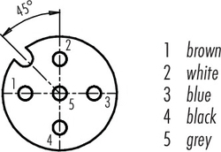 M12-A female panel mount connector, Contacts: 5, not shielded, single wires, IP68, PG9