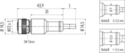 M12-A female cable connector, Contacts: 4, not shielded, moulded on cable, IP69K, UL listed, PVC grey, 4 x 0.34 mm²