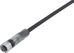 M8 female cable connector, Contacts: 3, not shielded, moulded on cable, IP67, UL listed, PUR black, 3 x 0.34 mm²