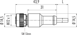 M12-A female cable connector, Contacts: 4, not shielded, moulded on cable, IP69K, UL listed, PVC grey, 4 x 0.34 mm²