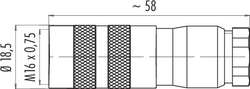 M16 IP67 female cable connector, Contacts: 8 DIN, 6.0 - 8.0 mm, shieldable, solder, IP68, UL, AISG compliant