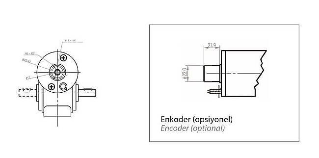 DC Motor With Worm Gearbox and Encoder - 4